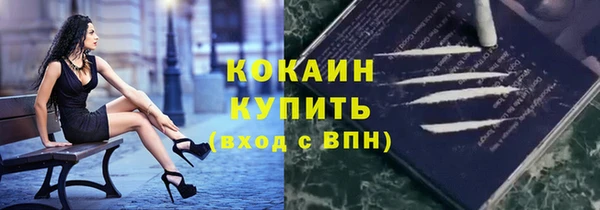 гидра Белокуриха