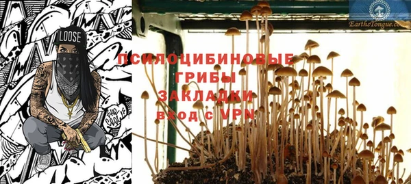 ешки Белоозёрский