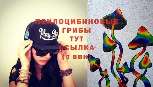 гидра Белокуриха