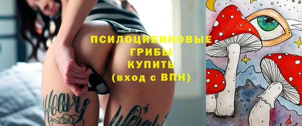 гидра Белокуриха