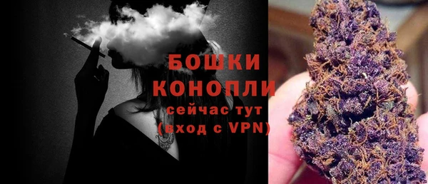 гидра Белокуриха