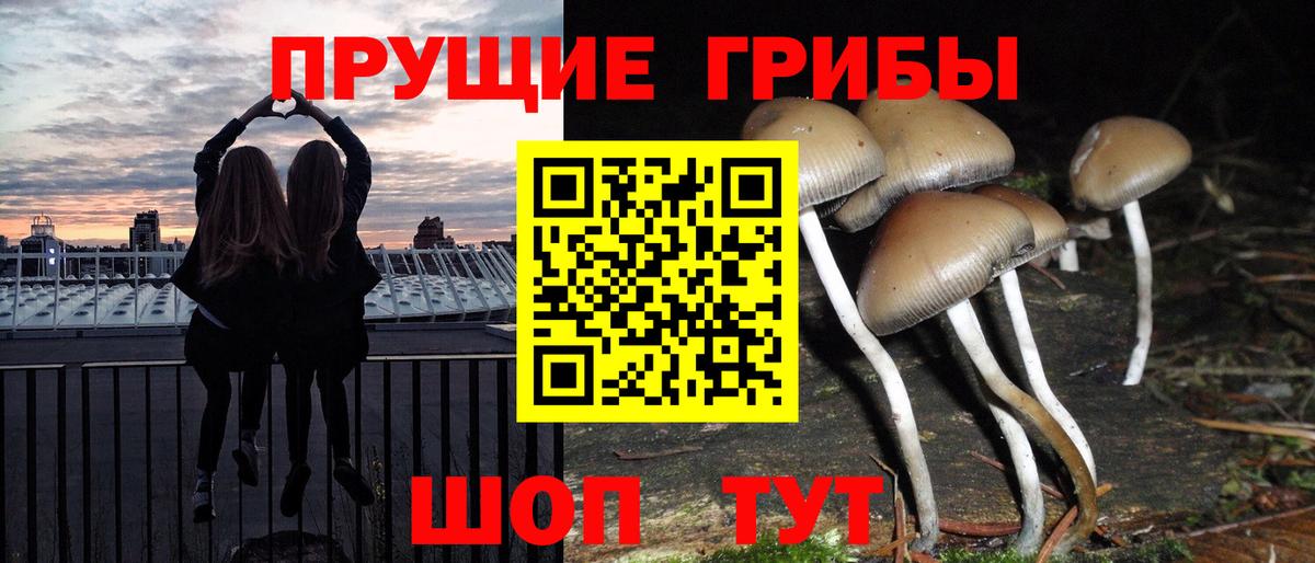 Сегежа  закладки  Вход с VPN  Галлюциногенные грибы мухоморы 