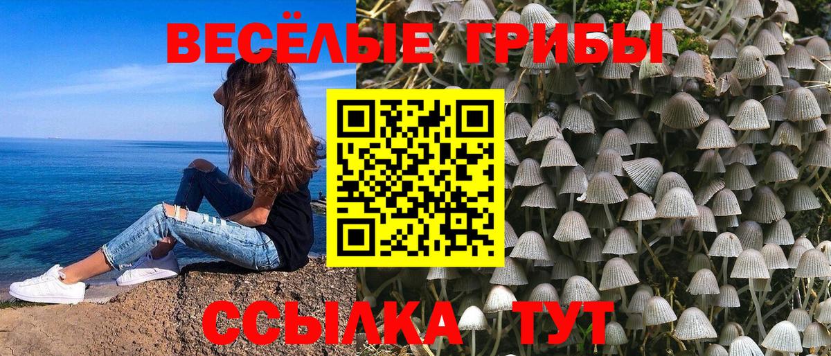 Псилоцибиновые грибы GOLDEN TEACHER Сегежа